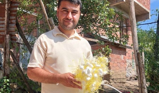 1 Dönüm araziden 130 bin lira gelir