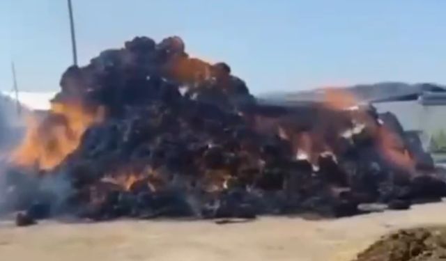 Iğdır'da Ot Yangını: Çok Sayıda Balya Kullanılamaz Hale Geldi