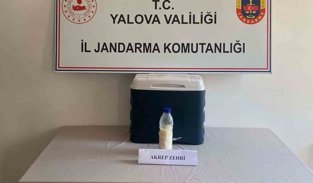 5 milyon dolarlık akrep zehri yakalandı