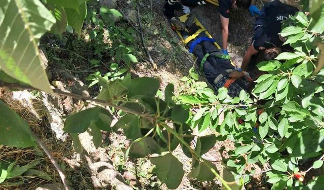 Ağaçtan su kanalına düşen şahıs yaralandı