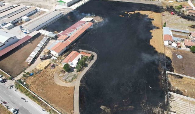 Anız yangınları hem canlılara hem de toprağa zarar veriyor