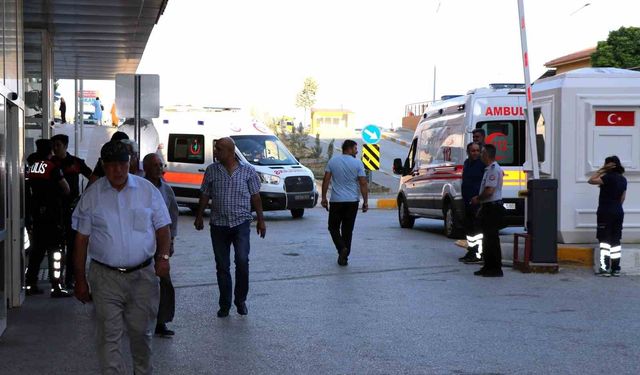 Arı sokmasına bağlı ciddi alerjik reaksiyonlar ölüme sebep olabilir