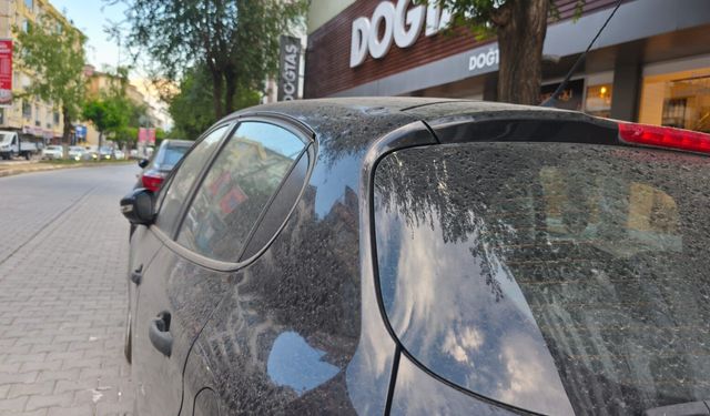 IĞDIR’DA HAVA KİRLİLİĞİ VE TOZ BULUTU ETKİSİ: YAĞMUR DEĞİL, ÇAMUR YAĞDI!