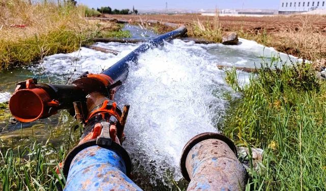 Güneydoğu'da kaçak elektrikle tarımsal sulama enerji arzını tehdit ediyor