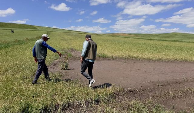 Kars'ta doğal afet sonrası seferberlik: Tarım ekipleri hasar tespiti için sahada