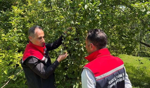 Kars'ta meyveciliğe güç katacak ziyaret: Enver Aydın'dan Sarıkamış'ta verimli üretim için 5 altın tavsiye