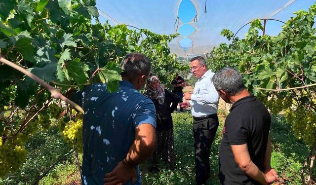 Kaymakam Dalak'tan üzüm üreticisine moral ziyareti