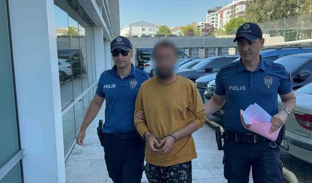 Kediye tekme atarken kameraya yansıyan şahıs yakalandı
