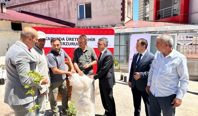 Pazaryolu'nda üreticilere bin meyve fidanı ve 11 sera naylonu desteği