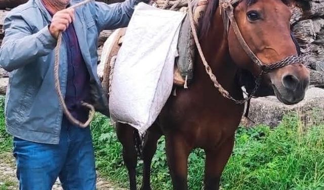 Psikolojik tedavi gören şahıs derede can verdi
