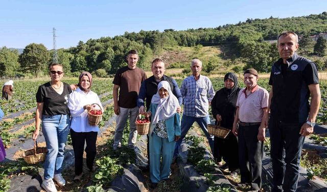 Vali Sözer, huzurevi sakinleriyle çilek hasadı yaptı