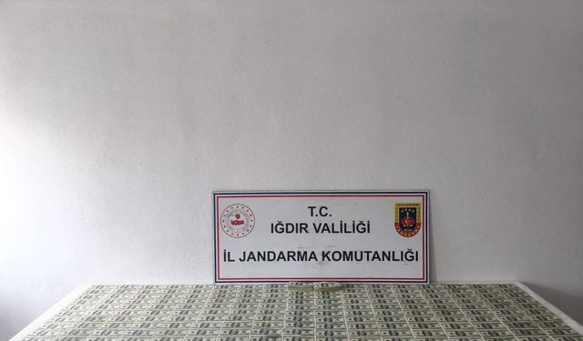 Jandarma’dan Sahte Dolar Operasyonu