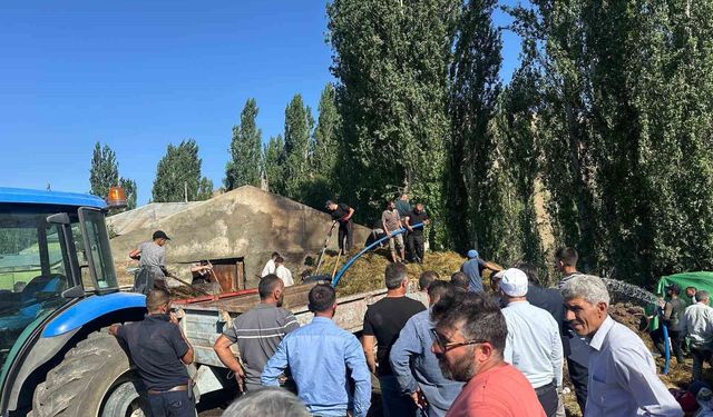 800 Balya ot kül oldu