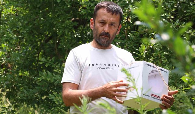 800 dekarlık arazi için çiftçilere faydalı böcek dağıtımı
