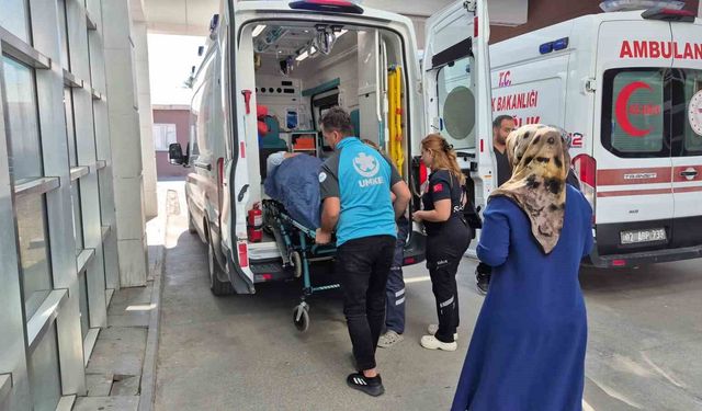 Ağaçtan düşen kişi yaralandı