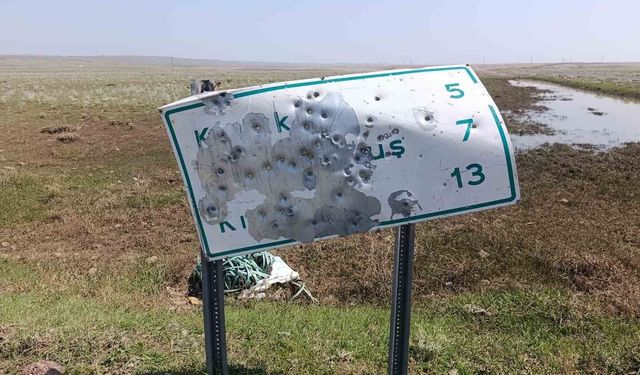 Arpaçay'da yol tabelalarını hedef tahtasına çevirdiler