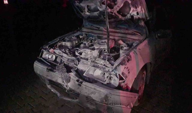 Otomobil karayoluna çıkan 3 mandaya çarptı: 1'i ağır, 2 yaralı