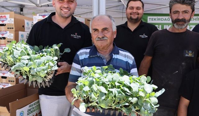 Üreticiye kışlık sebze desteği: 104 bin fide dağıtılıyor
