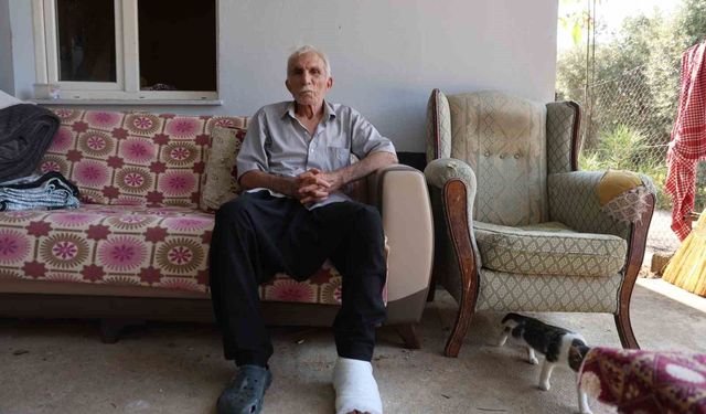 Yaşlı adama çarpıp hiçbir şey olmamış gibi yoluna devam etti