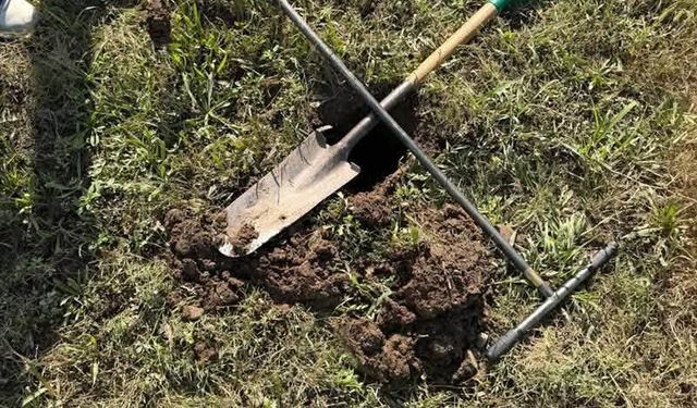 Iğdır’da Tarım Arazilerine Sıkı Takip: Geleceğin Üretimi Güvence Altında