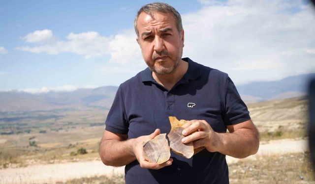 Bayburtlu öğretmenin doğa merakı fosil keşfine dönüştü: Ağaç ve deniz canlısı fosilleri buldu