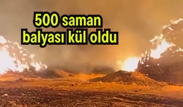 Erzurum'da korkutan yangın: 500 saman balyası kül oldu