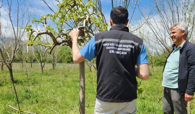 Çiftçilere sahada teknik destek