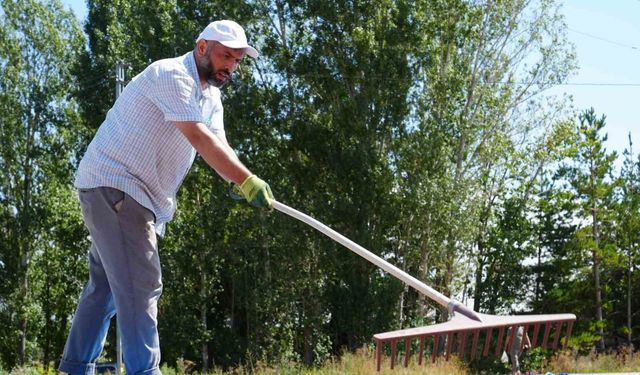Fındık için güneş yolculuğu: Trabzon'da toplanıyor, Bayburt'ta kurutuluyor