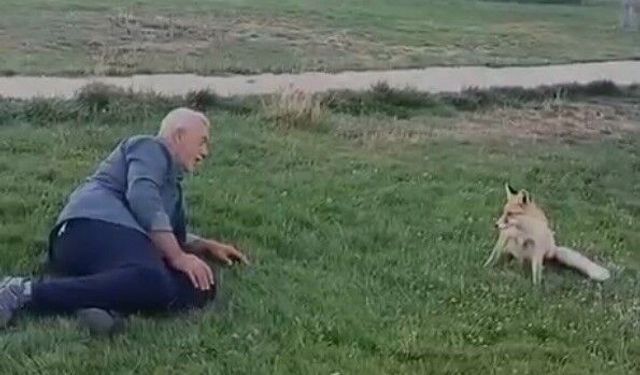 Vatandaşın tilkiyle dostluğu kameraya yansıdı