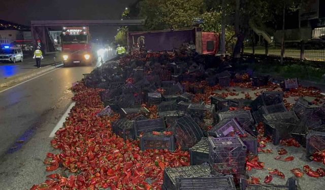 Devrilen kamyondaki 10 ton kapya biber yola saçıldı: 2 yaralı