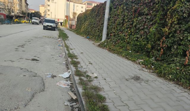 Iğdır’da Çevre Kirliliği Tepkisi: “Sokaklar Çöpten Geçilmiyor”