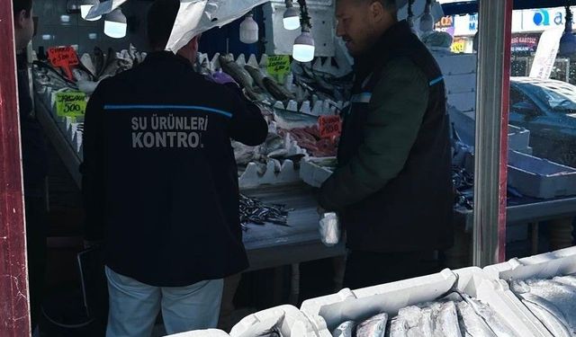 Erzurum'da balık satış noktalarına sıkı denetim
