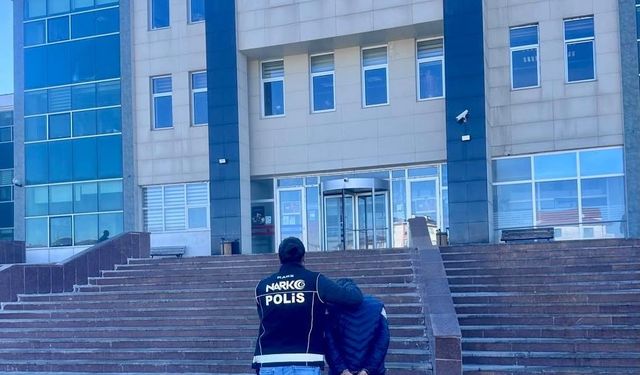 Kars'ta 'Torbacı' operasyonu: 1 kişi tutuklandı