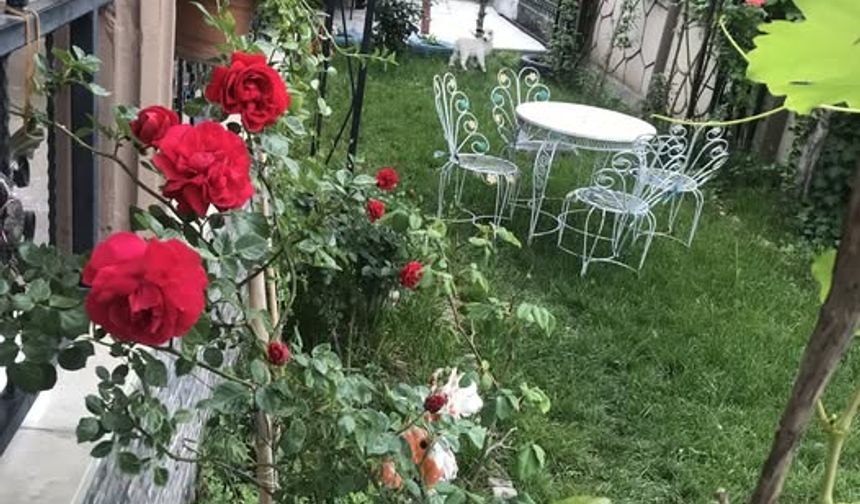 IĞDIR’A MEKTUP