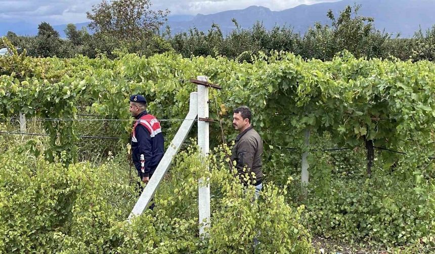 Bir yıllık emekleri çalınmasın diye gece gündüz nöbet tutuyorlar