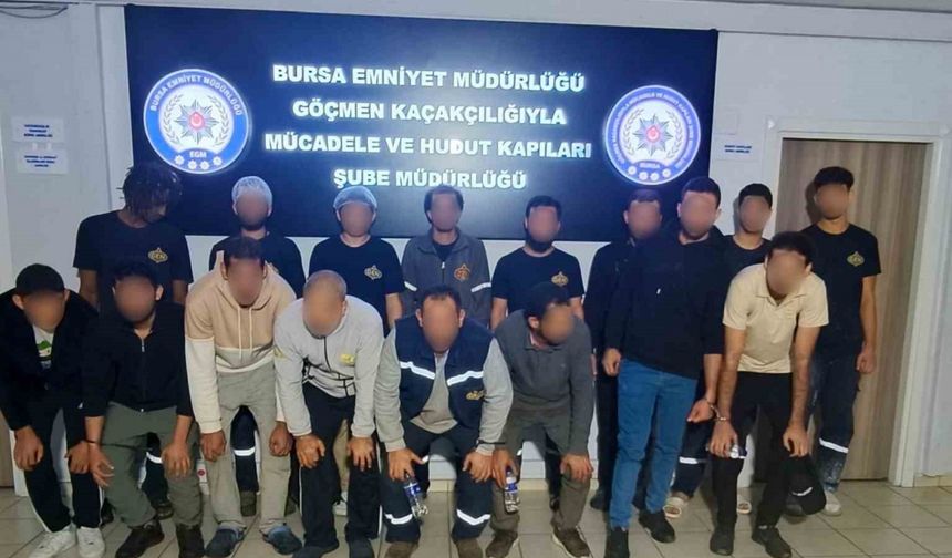 Bursa’da kaçak göçmen operasyonu