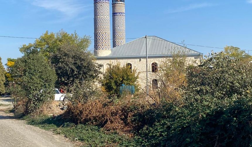 Camide Domuz Beslediler