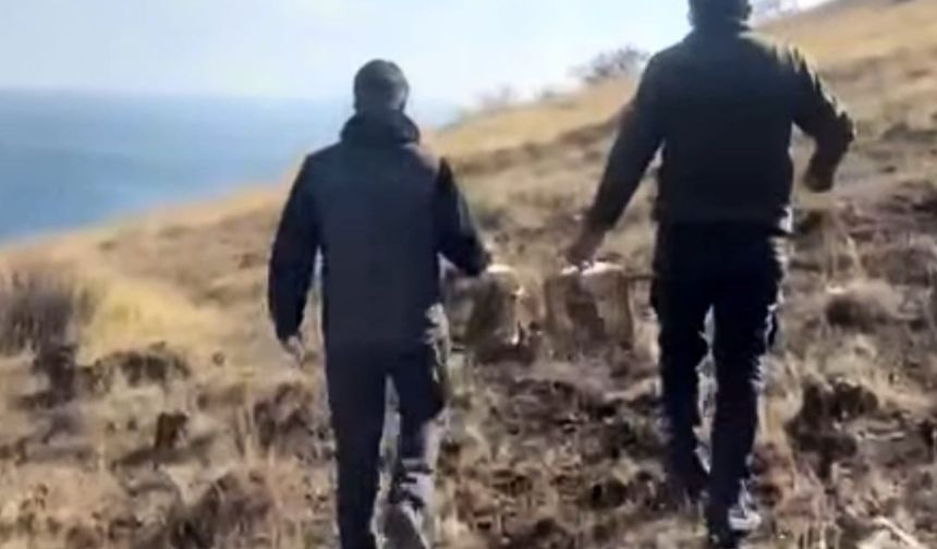 Keklikler yeniden doğayla buluştu