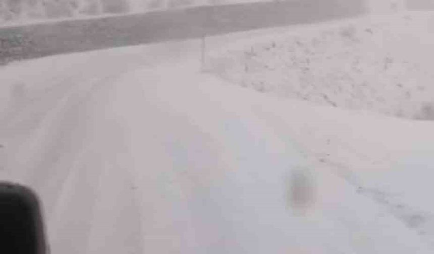 Tunceli’de, kar yağar yağmaz mücadele başladı