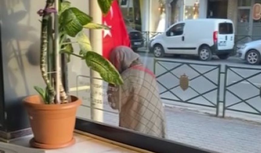 Türk bayrağını öpen teyzenin görüntüsü yürekleri ısıttı