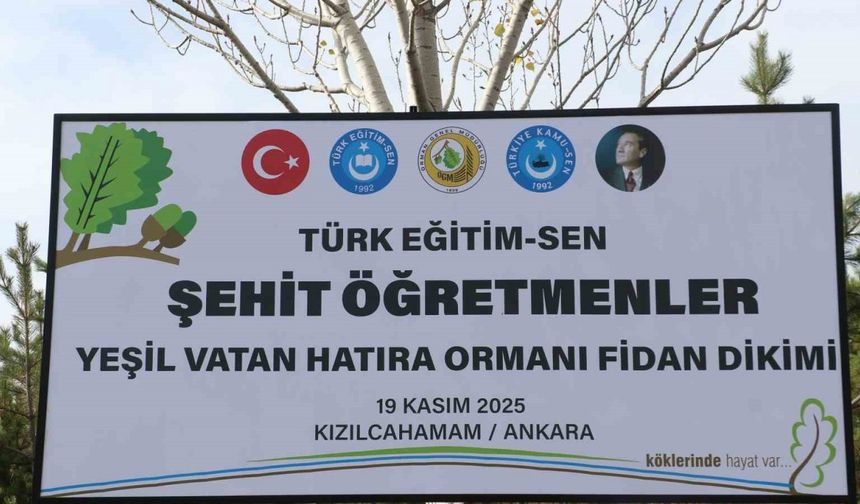 Türk Eğitim-Sen Genel Başkanı Geylan: "Maalesef her yıl on binlerce hektarımız yanıyor"