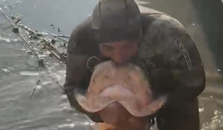 Iğdır’da Yayın Balığını Eliyle Avlıyor