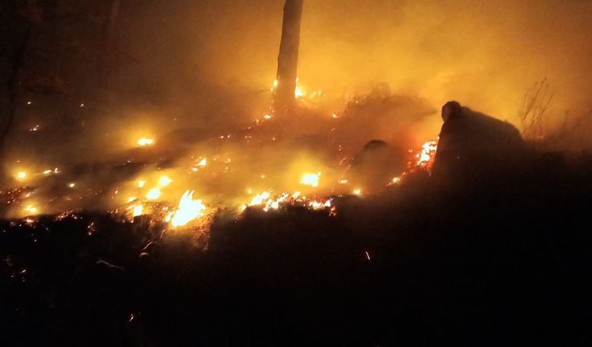 Bozyazı'da çıkan orman yangını kontrol altına alındı