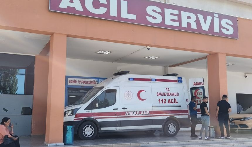 Iğdır Dr. Nevruz Erez Devlet Hastanesi 2025 Yılı Karnesini Açıkladı: 1 Milyonun Üzerinde Şifa Eli!