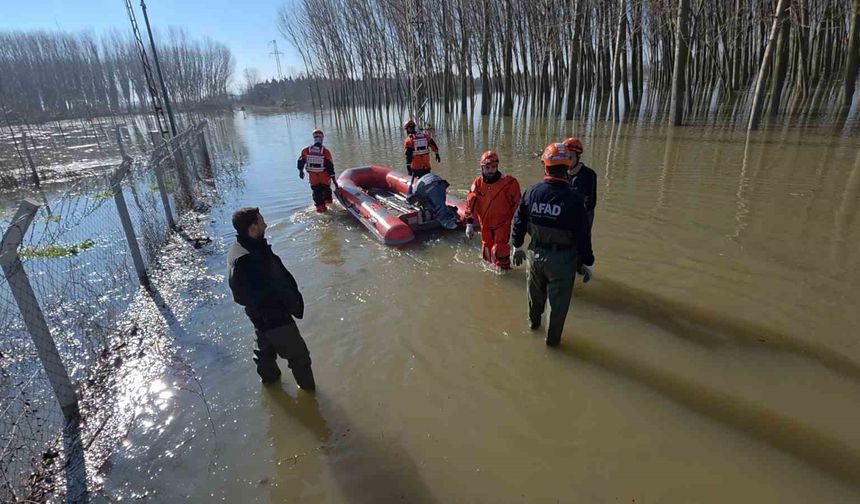 Edirne'de koyunlar botlarla kurtarıldı