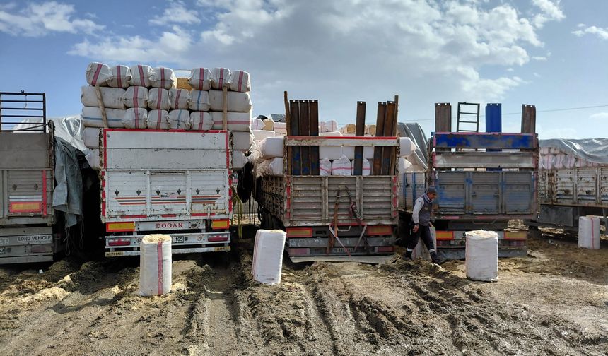 Iğdır’da Buğday ve Arpa Samanı Fiyatlarında Artış: Kilo Fiyatı 8.500 TL ile 9.200 TL Arasında