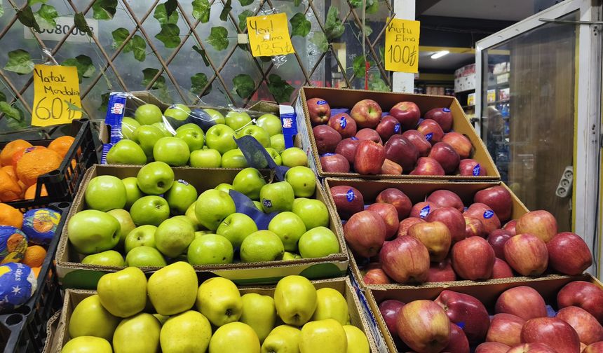 Iğdır’da Elma “Lüks” Oldu: Kilo Gitti, Tane Devri Başladı!