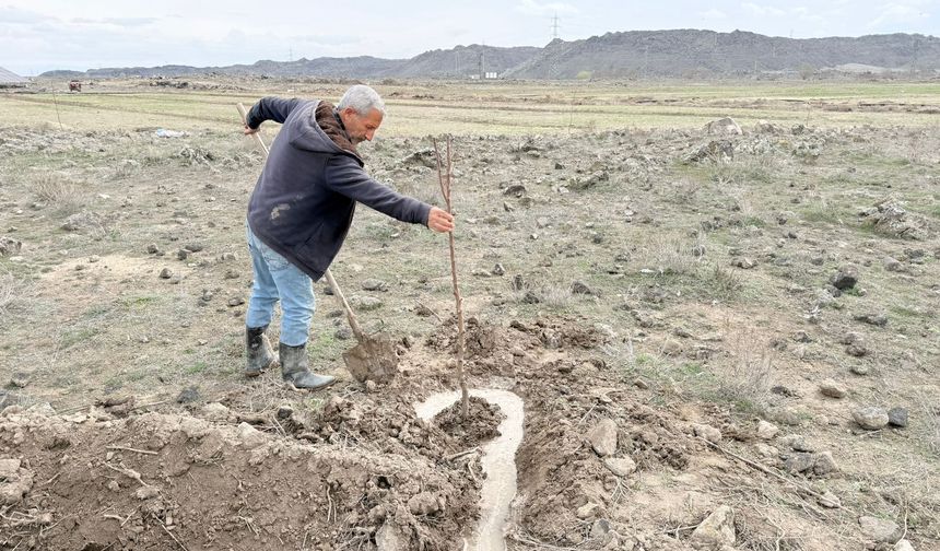 Iğdır’da Fidan Dikimi Başladı