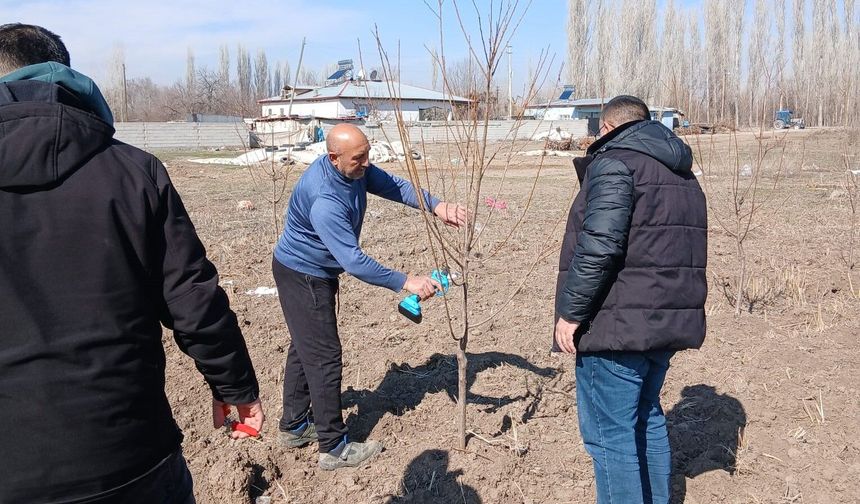 IĞDIR’DA MEYVE ÜRETİCİLERİNE “SAHADA” BUDAMA EĞİTİMİ