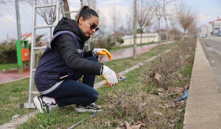Yeşil Kuşak Yürüyüş Yolunda Bahar Bakımı Başladı